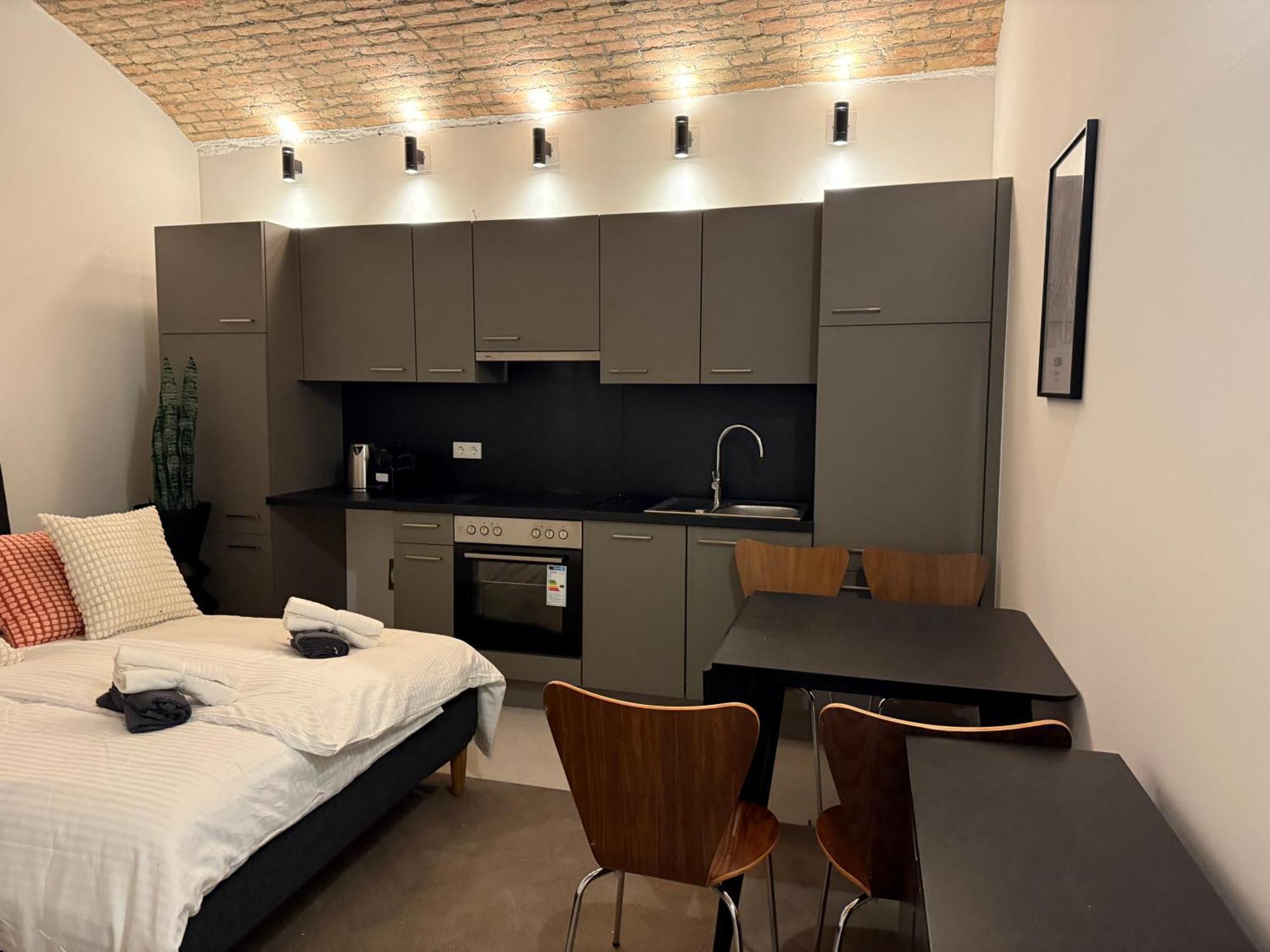 Renovated Premium Appartement Vienne